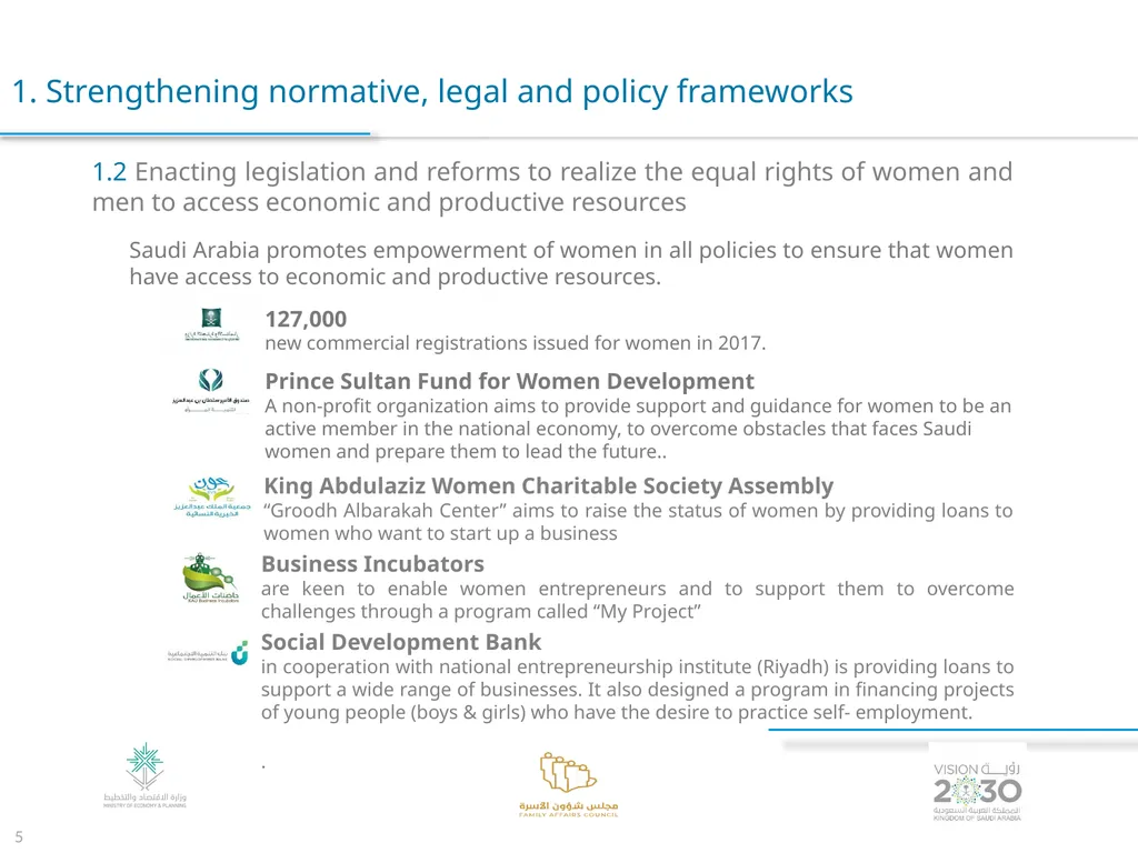 Voluntary Presentation for the Kingdom of Saudi - slide 5 of 24