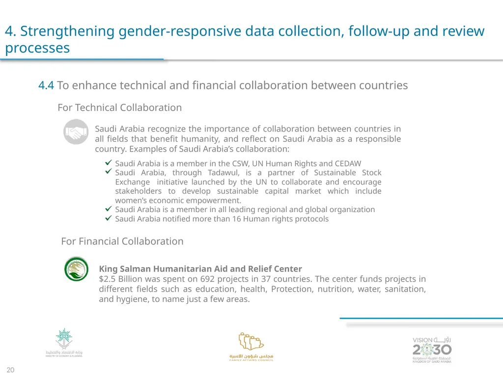 Voluntary Presentation for the Kingdom of Saudi - slide 20 of 24