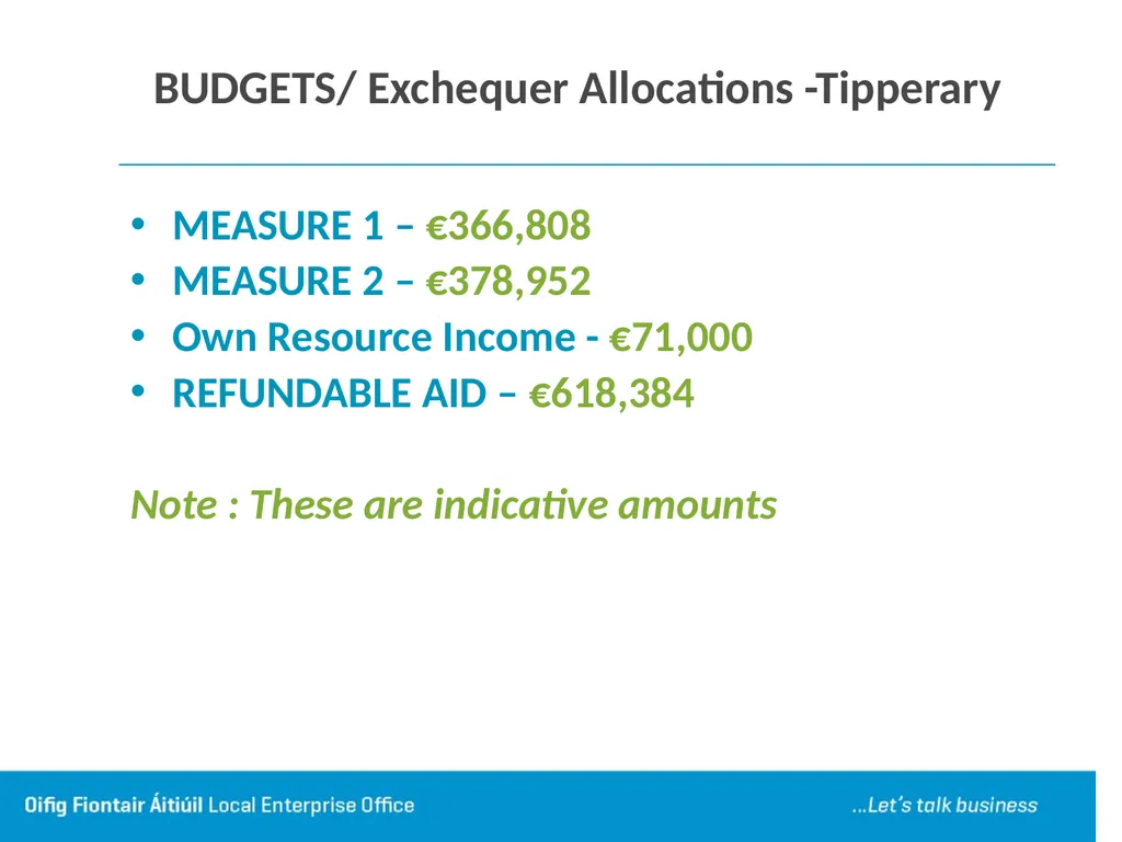 Local Enterprise Office Tipperary Funding Seminar - slide 13 of 24