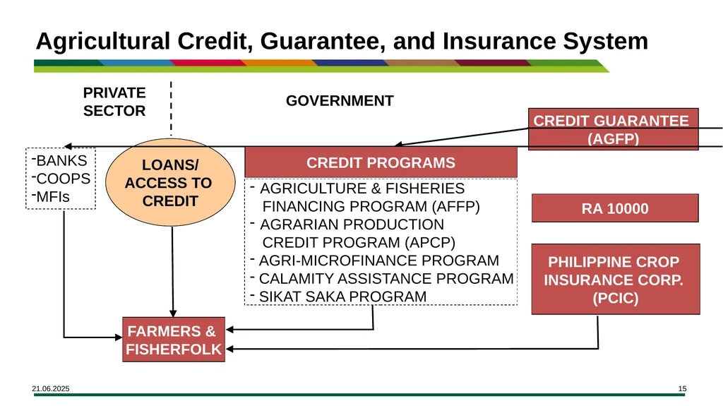 MODULE 15 Access to Financing Learning Objectives - slide 15 of 32