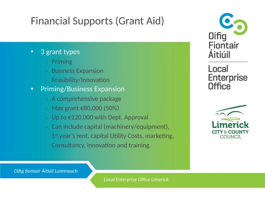LOCAL ENTERPRISE OFFICE LIMERICK Public - slide 4 of 10