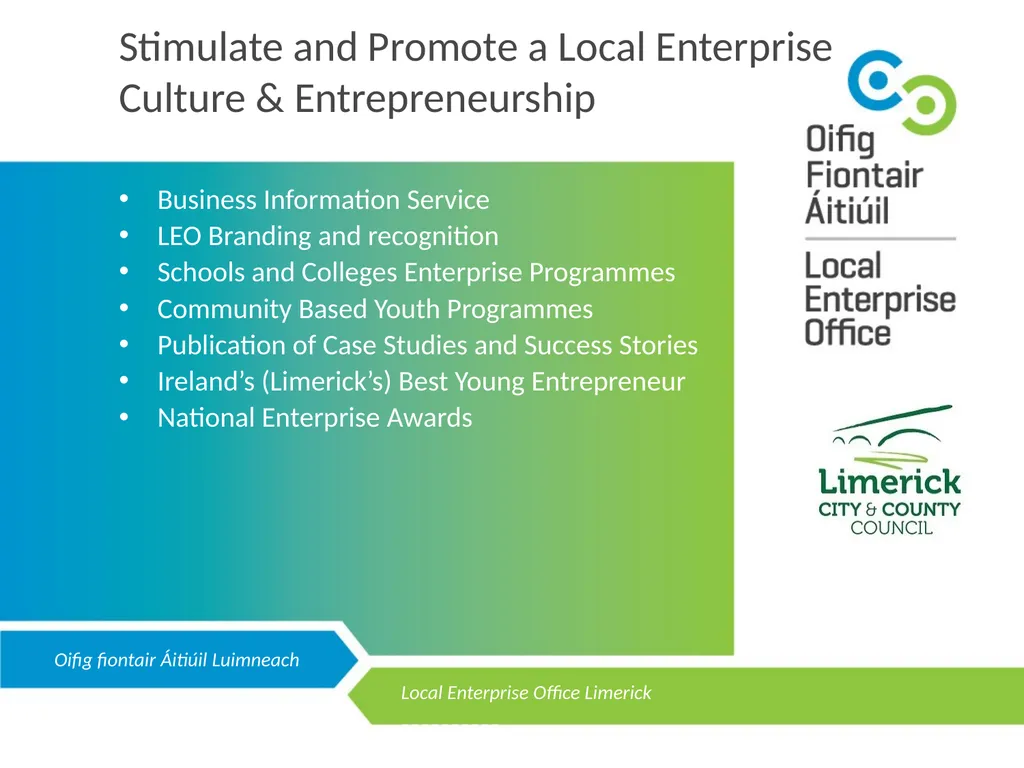 LOCAL ENTERPRISE OFFICE LIMERICK Public - slide 8 of 10