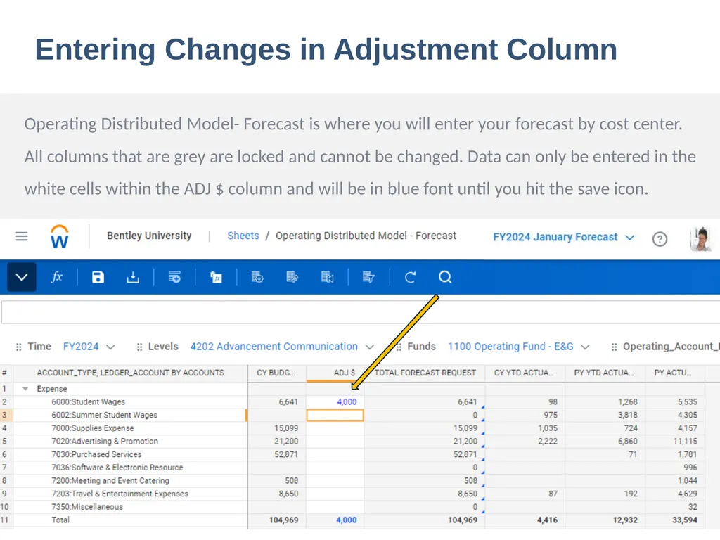 Workday Adaptive Training (Budgeting and - slide 11 of 26