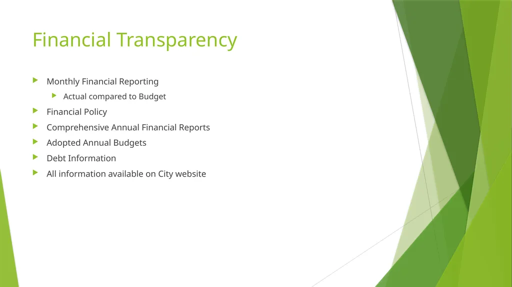 Governmental Accounting Finance Budget “101” - slide 17 of 18