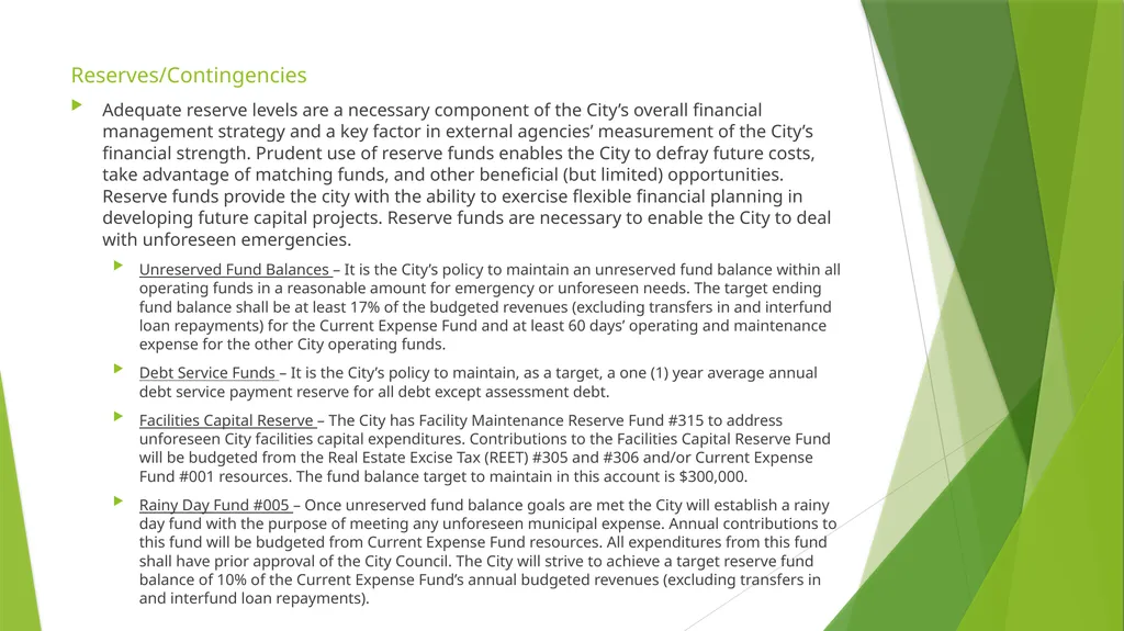 Governmental Accounting Finance Budget “101” - slide 12 of 18