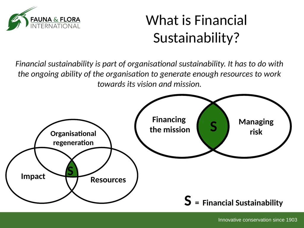 Financial Sustainability Workshop 2013 Day 1 Based - slide 2 of 41