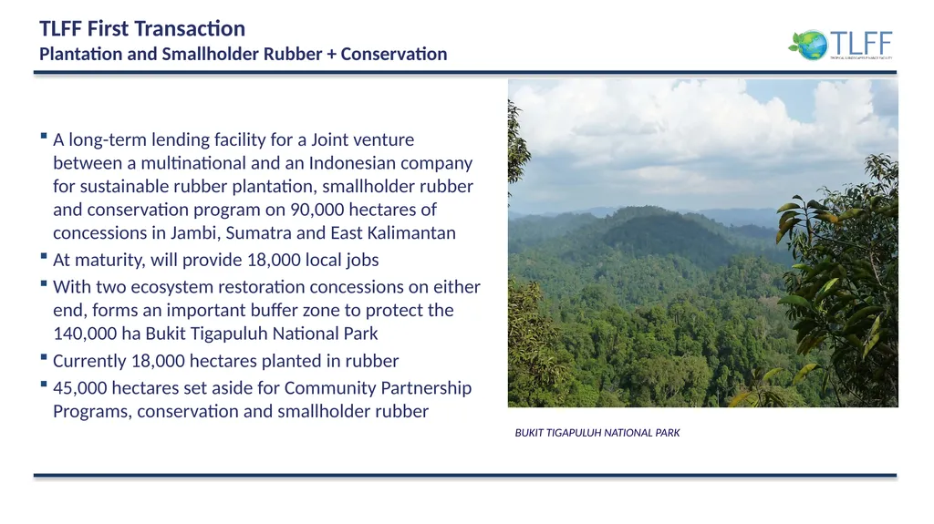 The Tropical Landscapes Finance Facility for - slide 11 of 13