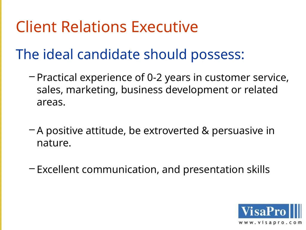 VisaPro Services Pvt. Ltd. THE COMPANY VisaPro - slide 9 of 10