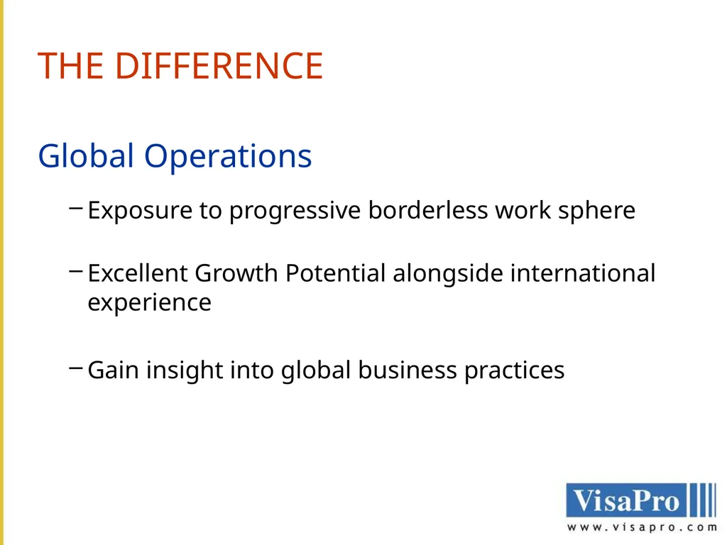 VisaPro Services Pvt. Ltd. THE COMPANY VisaPro - slide 5 of 10