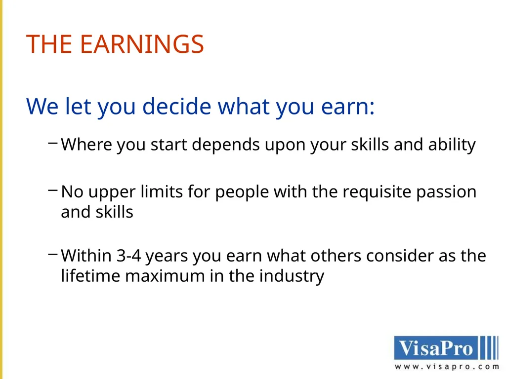 VisaPro Services Pvt. Ltd. THE COMPANY VisaPro - slide 7 of 10