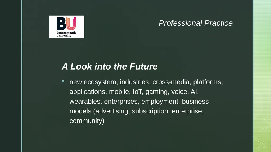 The Enterprise Roles and Responsibilities - slide 13 of 19