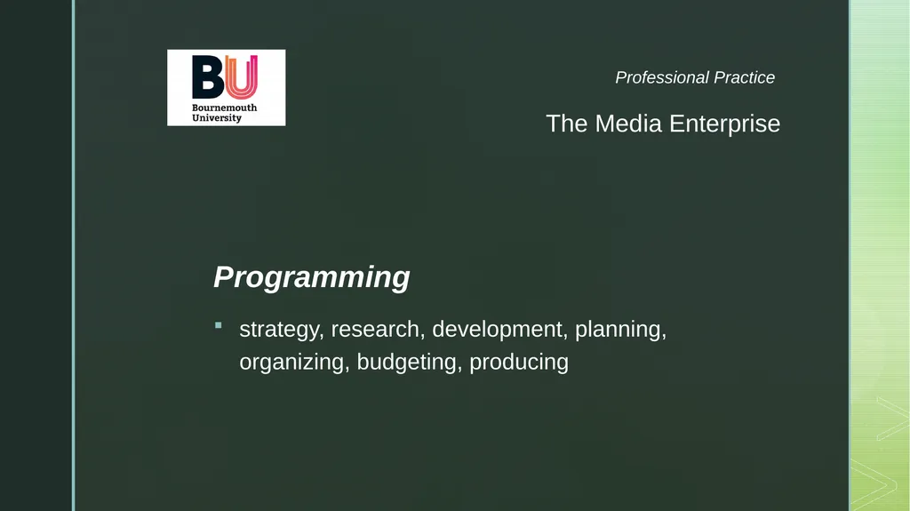 The Enterprise Roles and Responsibilities - slide 10 of 19