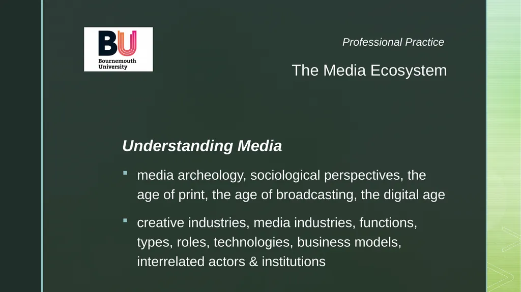 The Enterprise Roles and Responsibilities - slide 3 of 19