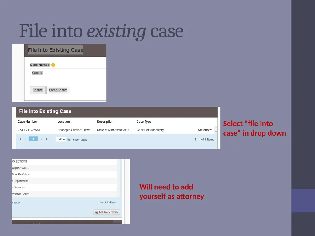 Criminal Expungement Full Representation Training - slide 36 of 41