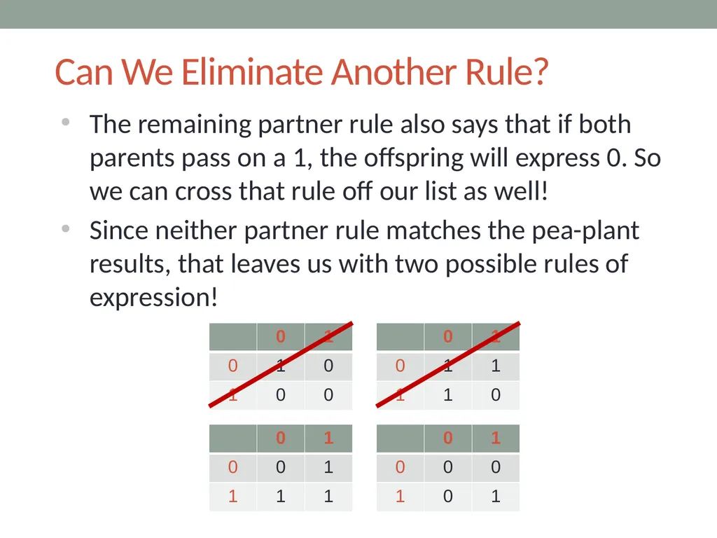 RESPeCT PD pROGRAM RESPeCT Summer Institute Day 4 - slide 48 of 63