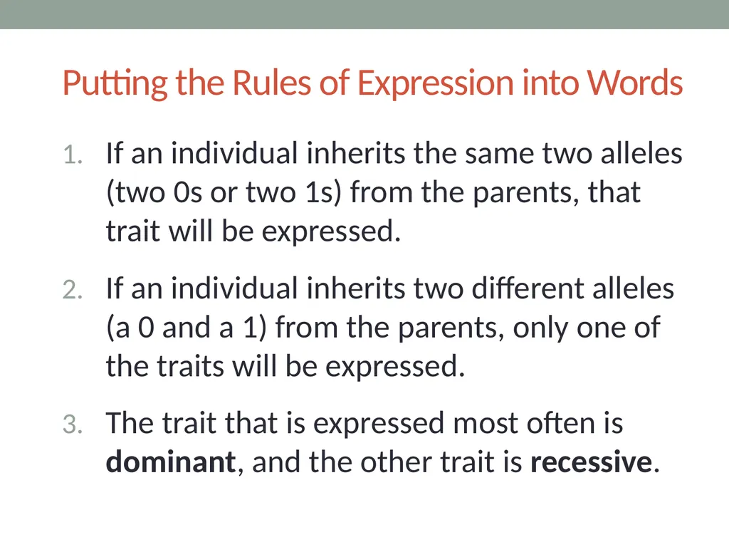 RESPeCT PD pROGRAM RESPeCT Summer Institute Day 4 - slide 50 of 63