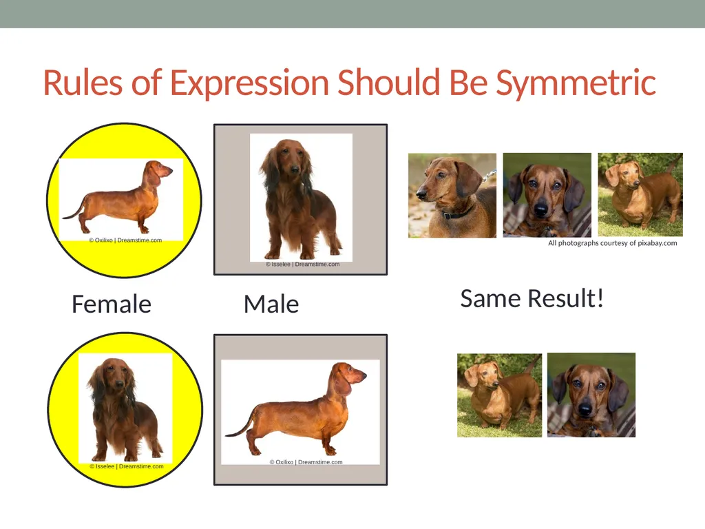 RESPeCT PD pROGRAM RESPeCT Summer Institute Day 4 - slide 33 of 63