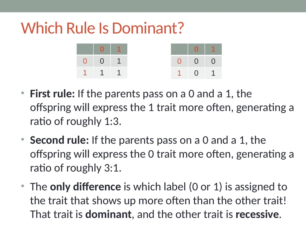 RESPeCT PD pROGRAM RESPeCT Summer Institute Day 4 - slide 49 of 63