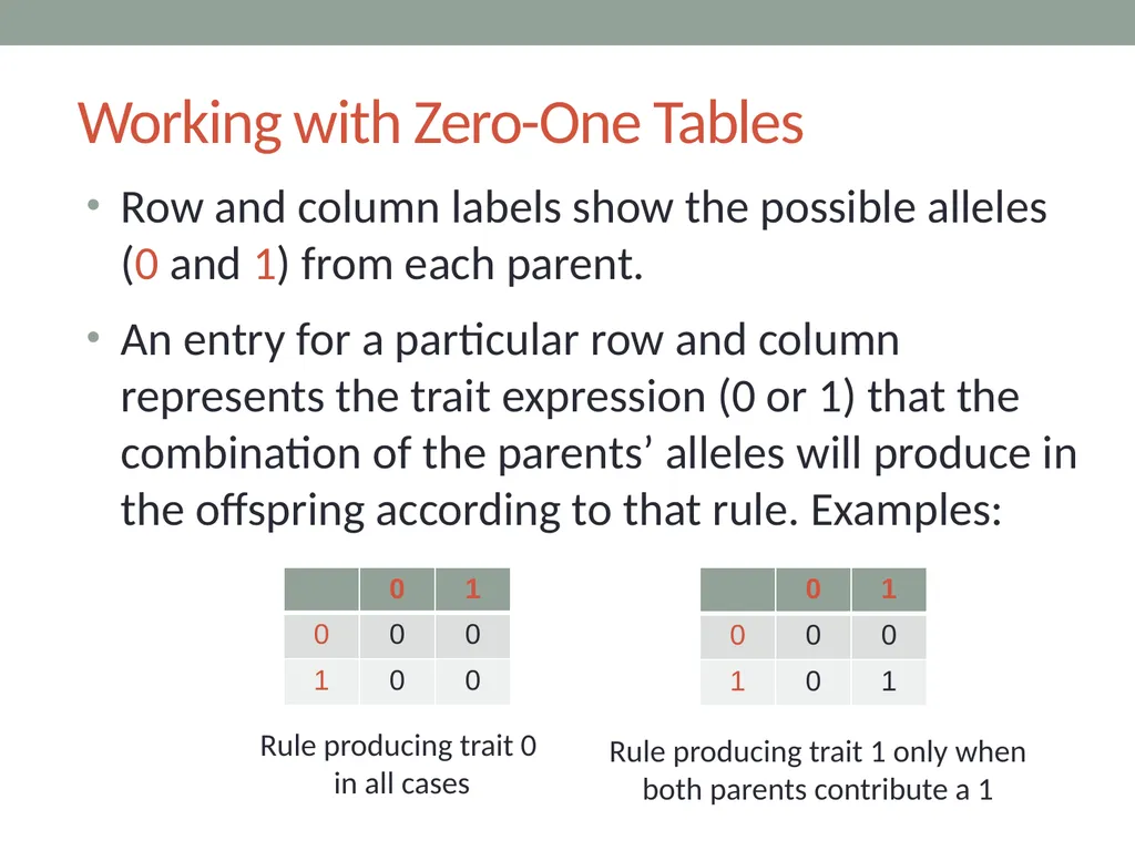 RESPeCT PD pROGRAM RESPeCT Summer Institute Day 4 - slide 30 of 63
