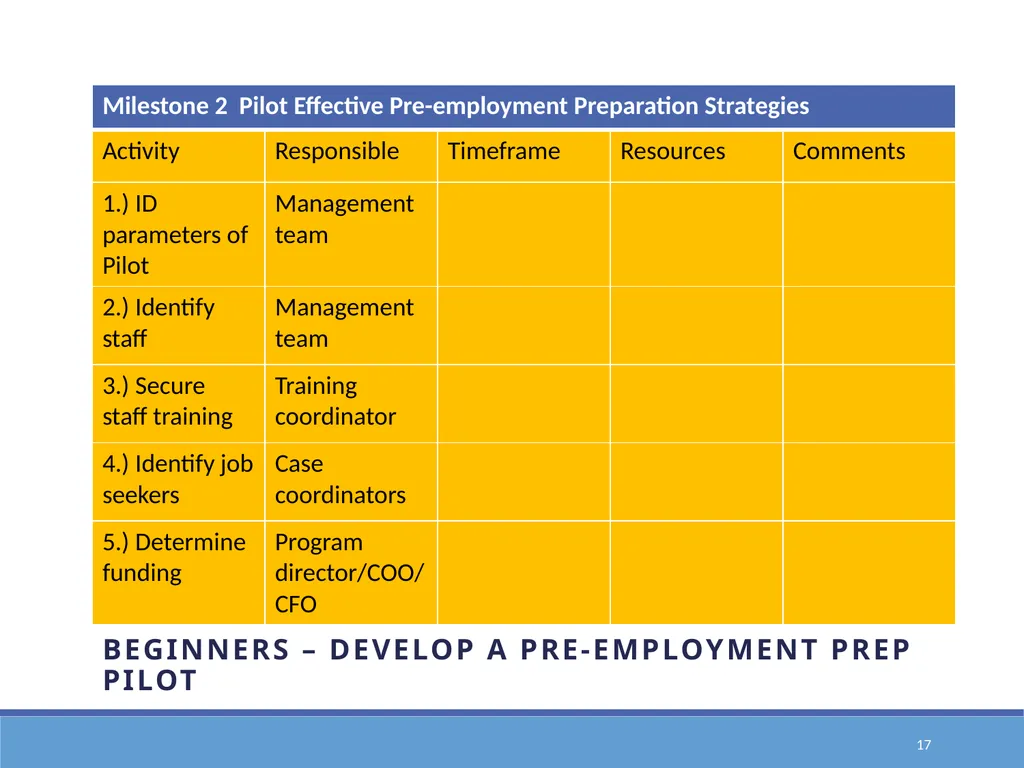Action Planning for Transformation to an E1st - slide 17 of 43