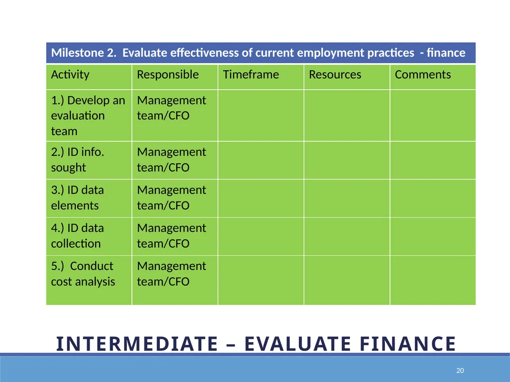 Action Planning for Transformation to an E1st - slide 20 of 43