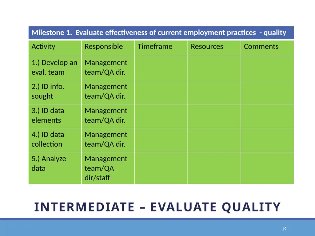 Action Planning for Transformation to an E1st - slide 19 of 43