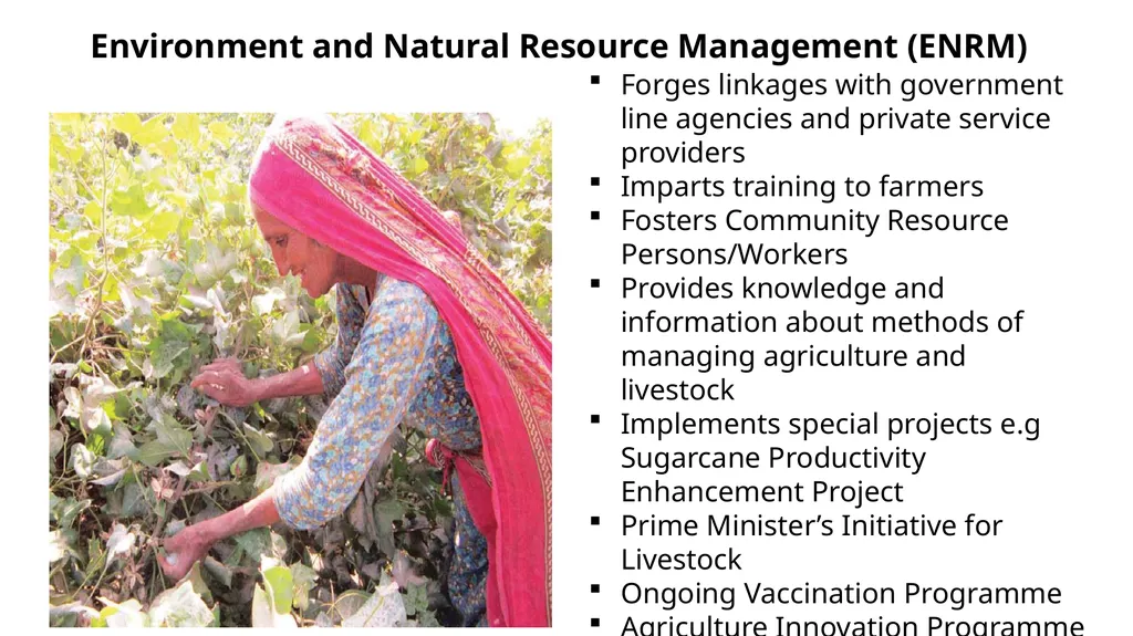 National Rural Support Programme (NRSP) February - slide 25 of 35