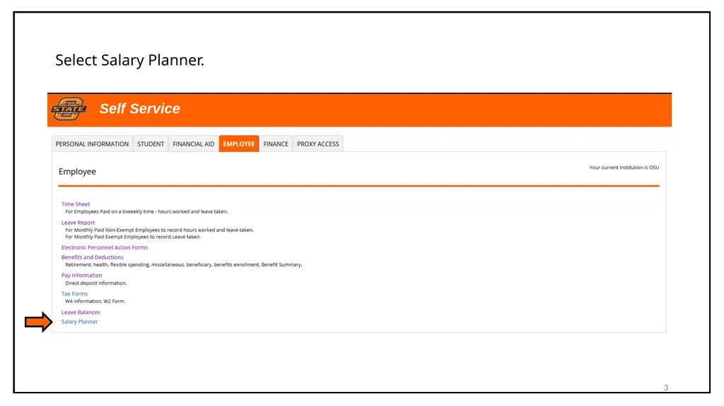 Budget Cycle Entry In Salary Planner Self Service - slide 3 of 31