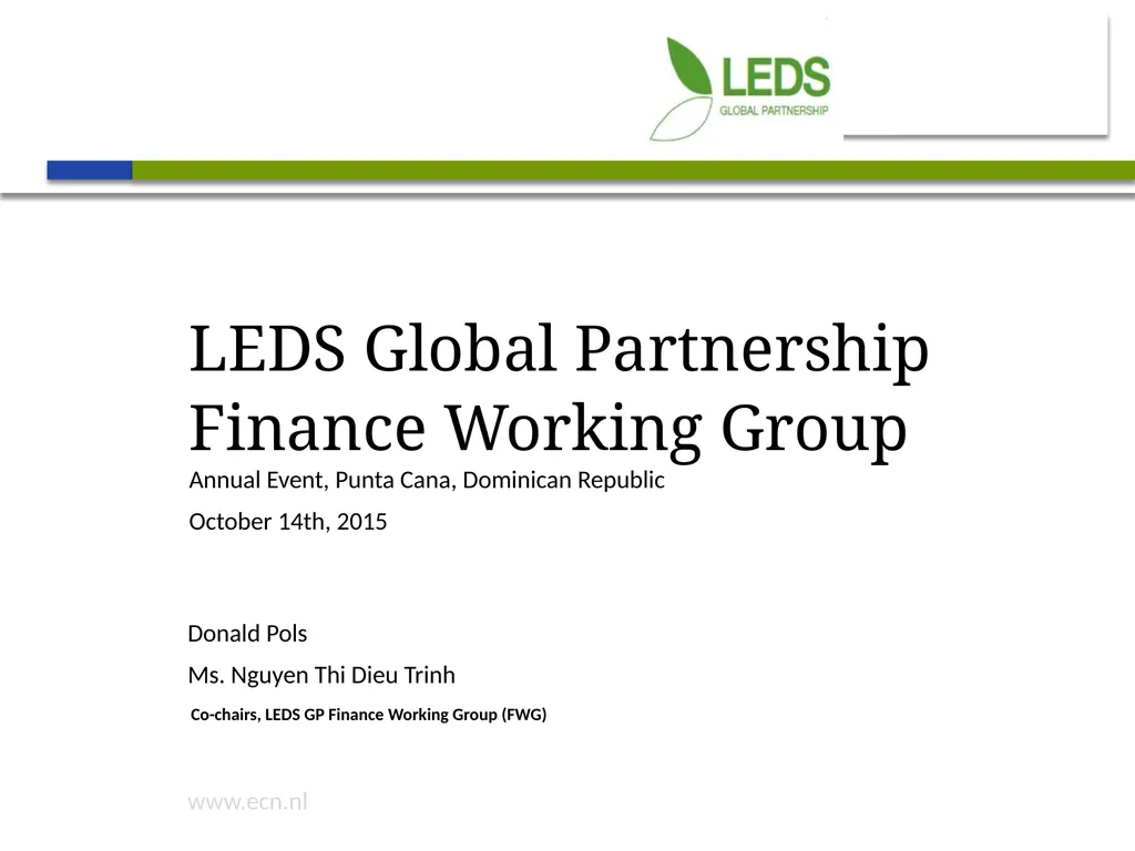LEDS Global Partnership Finance Working Group