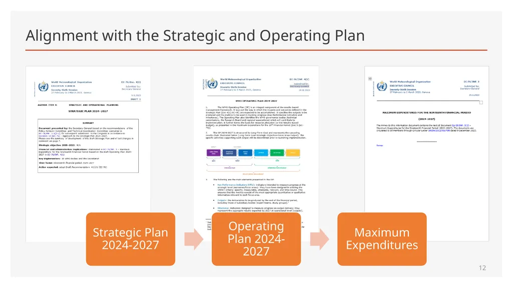 Maximum Expenditures for the nineteenth Financial - slide 12 of 41