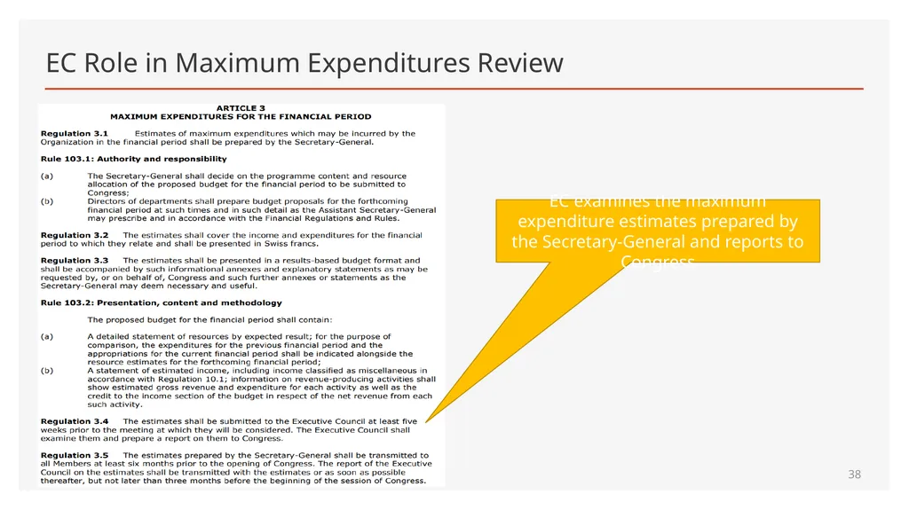 Maximum Expenditures for the nineteenth Financial - slide 38 of 41