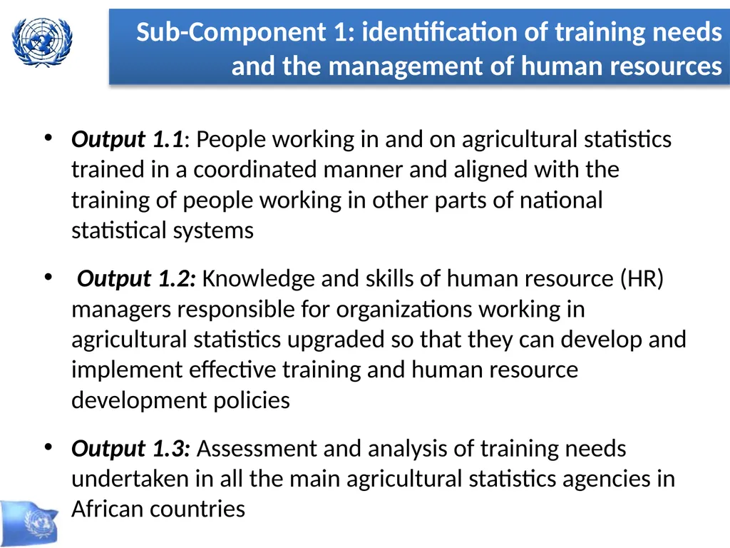 Global Strategy for Improving Statistics for Food - slide 15 of 31
