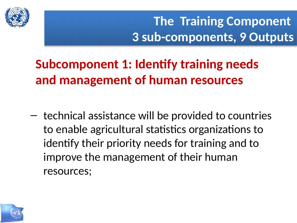 Global Strategy for Improving Statistics for Food - slide 12 of 31