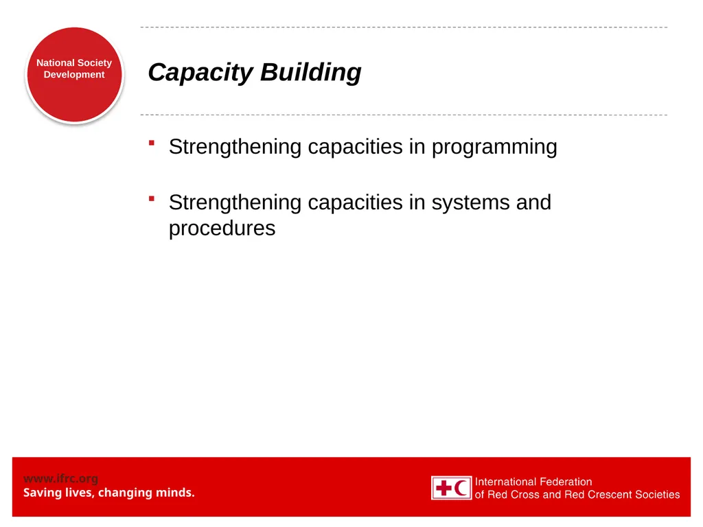 National Society Development: some updates - slide 12 of 20
