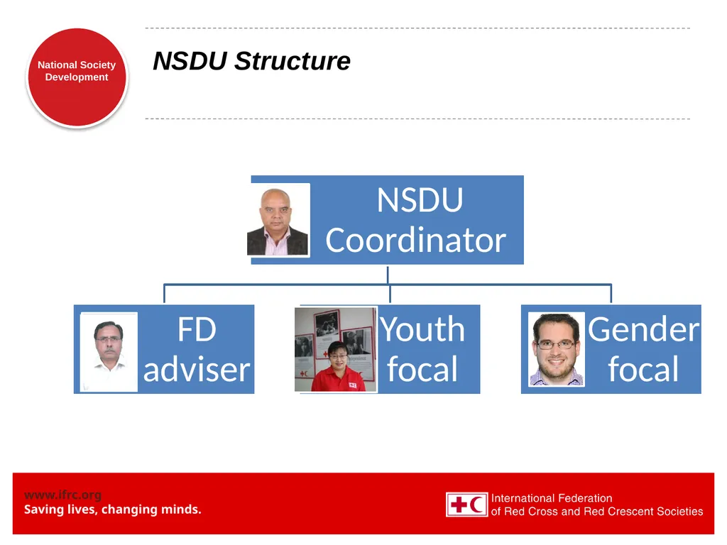 National Society Development: some updates - slide 9 of 20