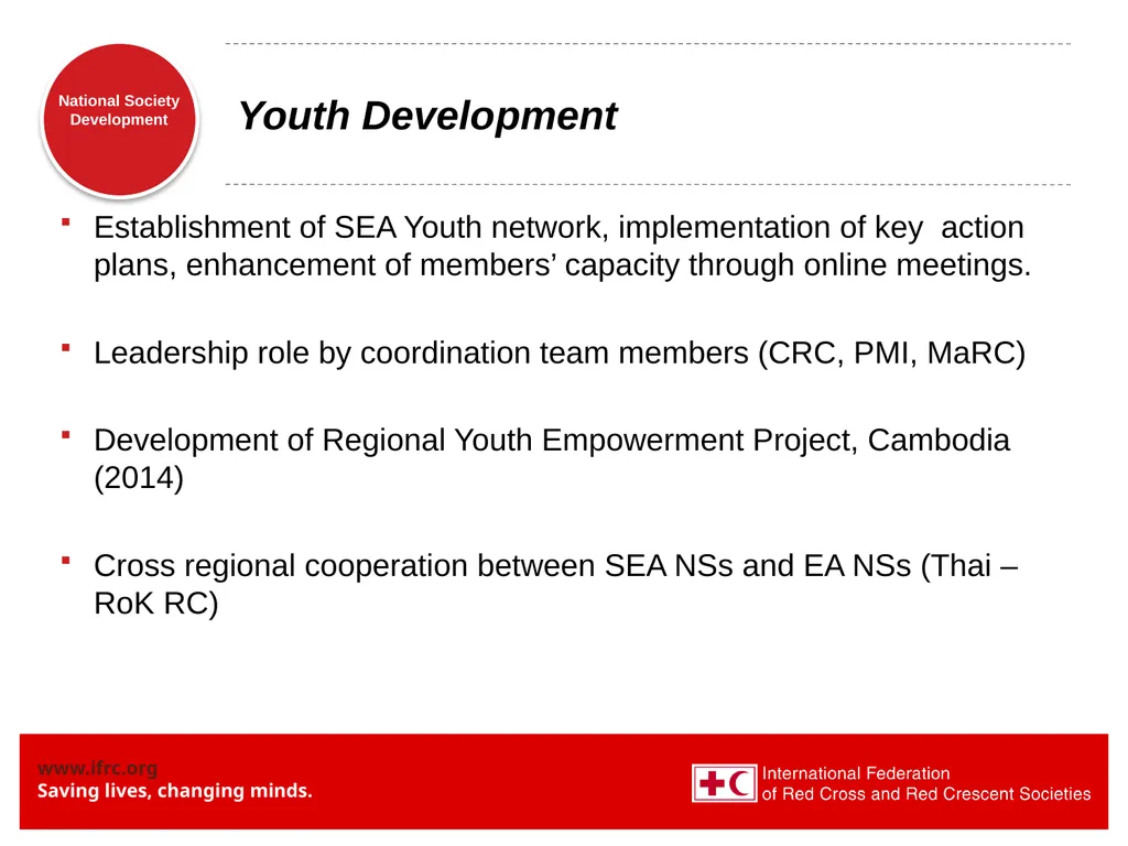 National Society Development: some updates - slide 17 of 20