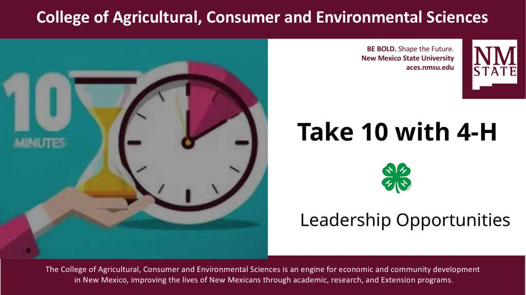 Take 10 with 4-H Leadership Opportunities