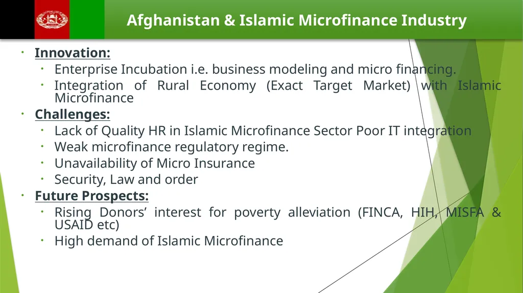 Muhammad Zubair Mughal Chief Executive Officer - slide 17 of 20
