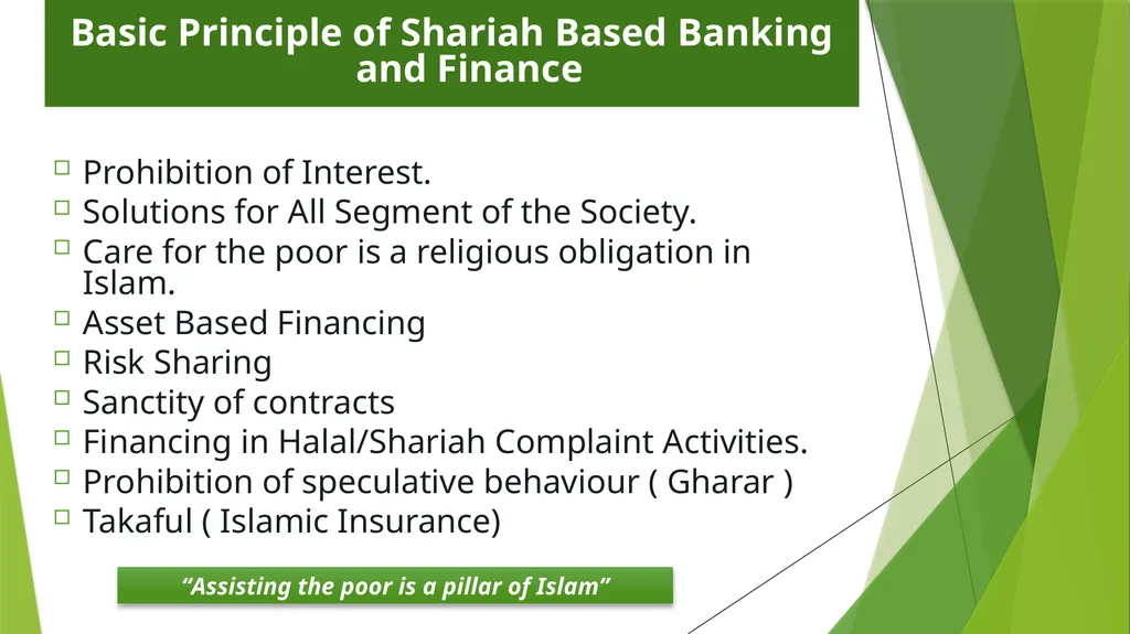 Muhammad Zubair Mughal Chief Executive Officer - slide 3 of 20