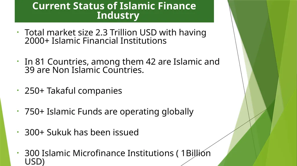 Muhammad Zubair Mughal Chief Executive Officer - slide 8 of 20
