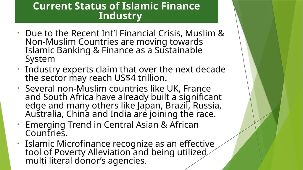 Muhammad Zubair Mughal Chief Executive Officer - slide 9 of 20