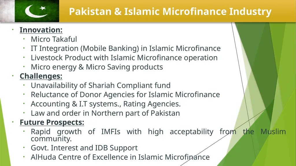 Muhammad Zubair Mughal Chief Executive Officer - slide 16 of 20