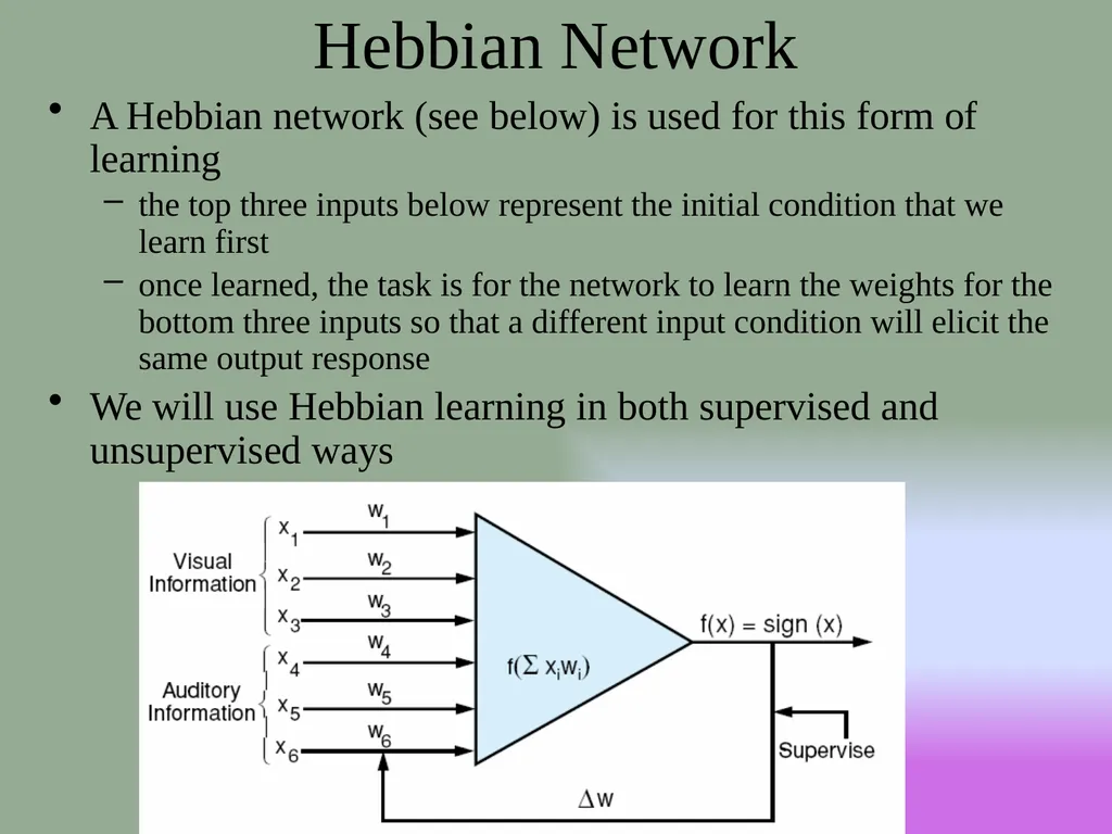 Neural Networks NNs are a study of parallel and - slide 36 of 51