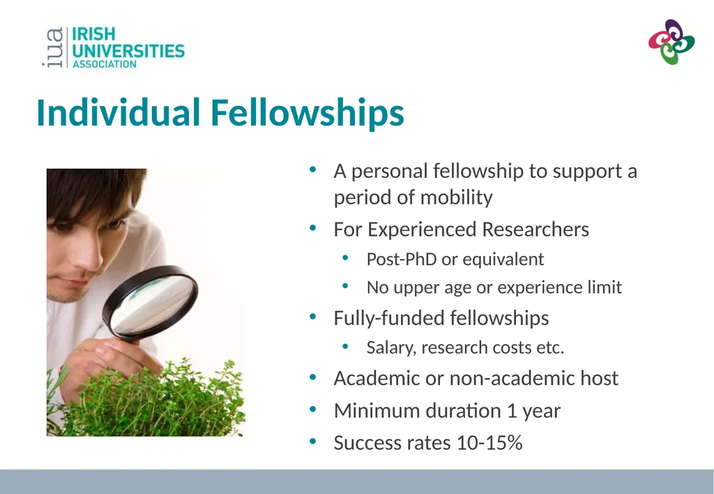 MSC Focus on Individual Fellowships Dr. Jennifer - slide 17 of 39