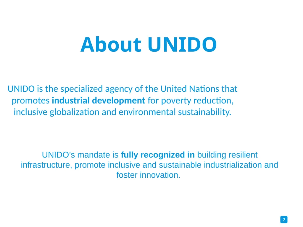 United Nations Industrial Development Organization - slide 2 of 8