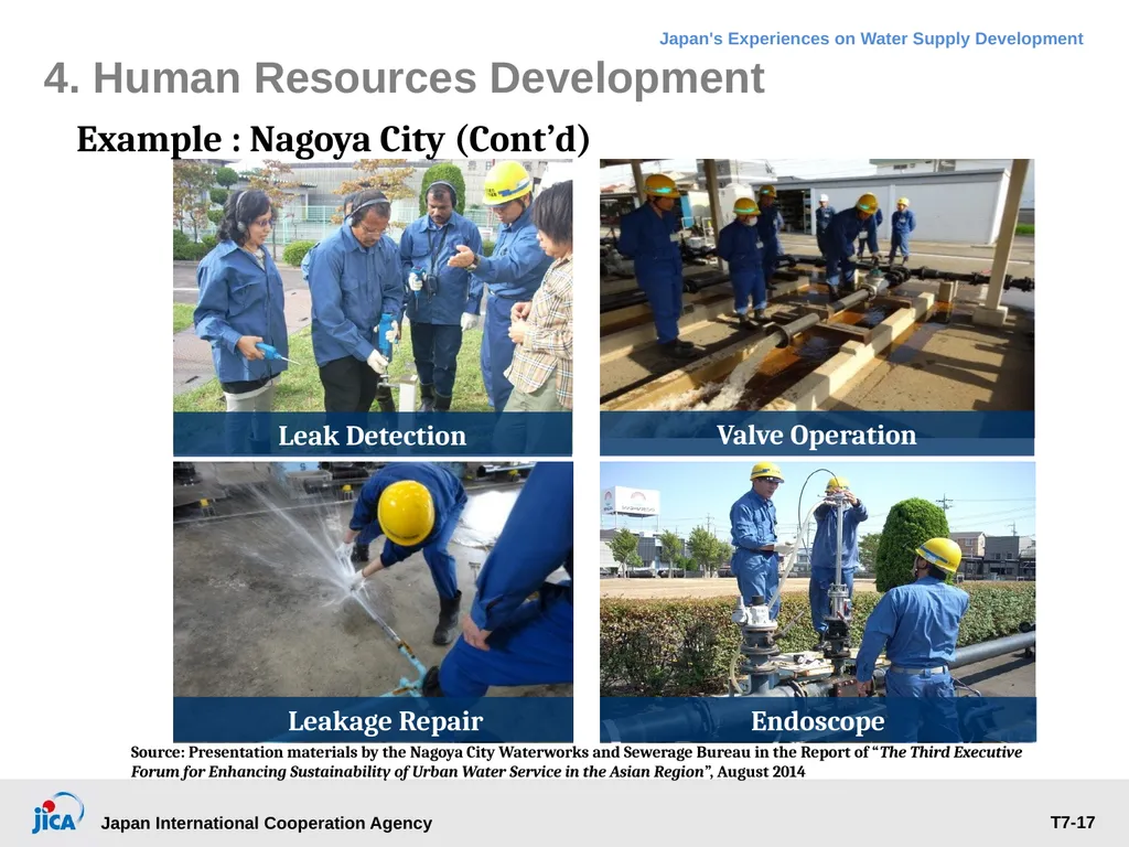 Institutional Management: Governance, Human - slide 17 of 30