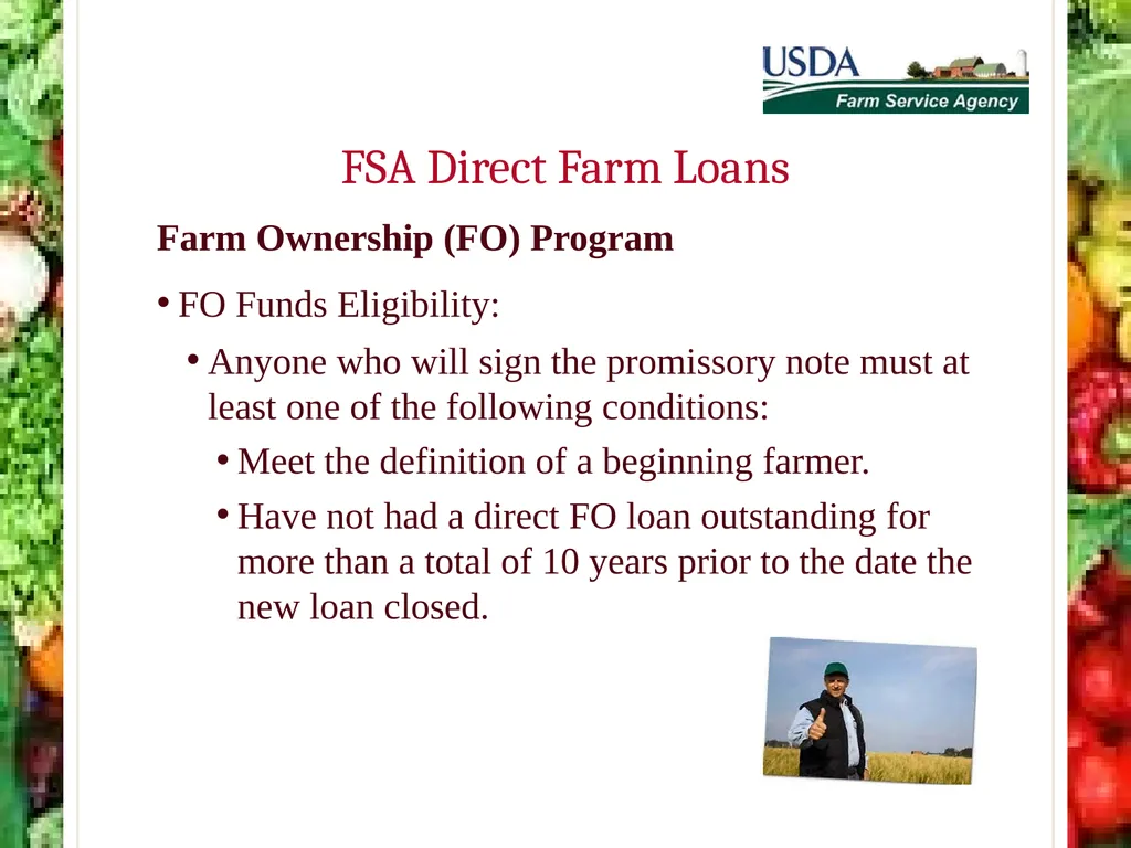 FSA Farm Loan Programs Norman Cummins USDA/FSA - slide 19 of 56