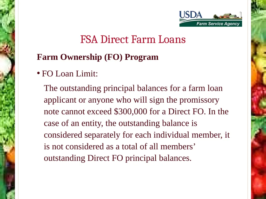 FSA Farm Loan Programs Norman Cummins USDA/FSA - slide 20 of 56