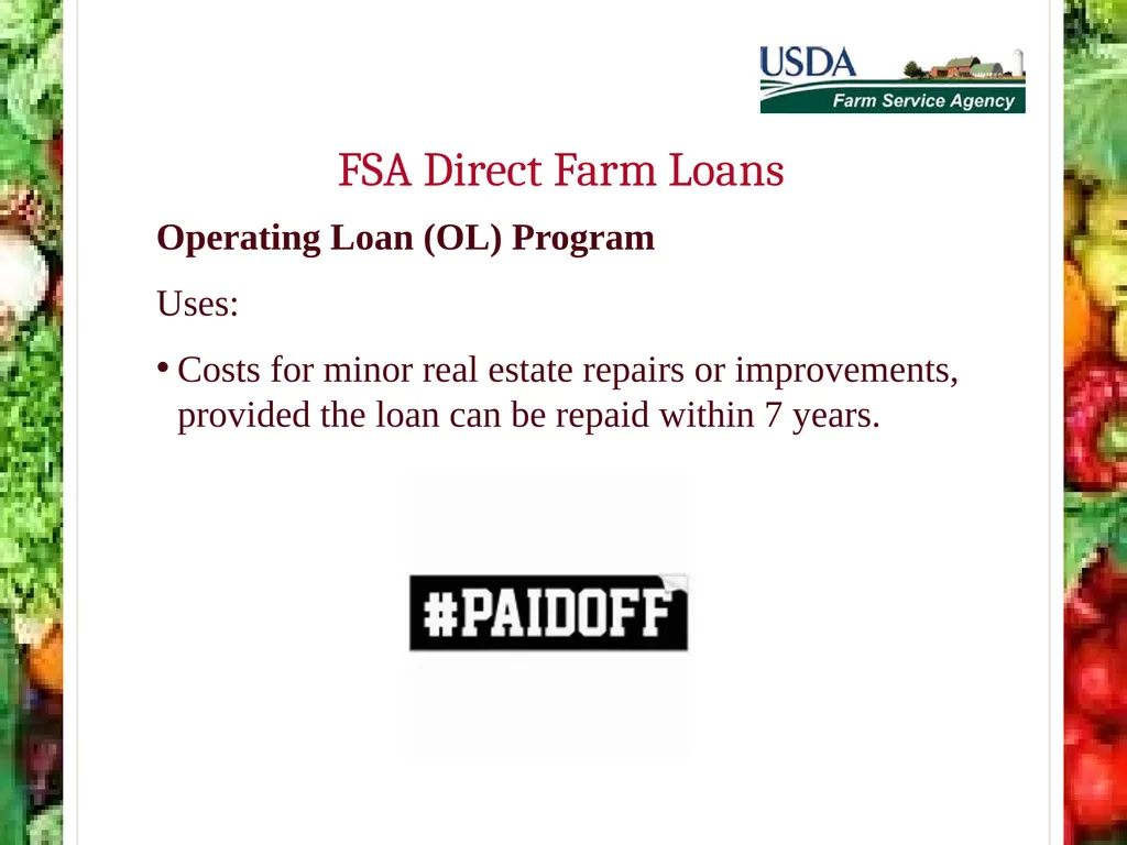 FSA Farm Loan Programs Norman Cummins USDA/FSA - slide 30 of 56