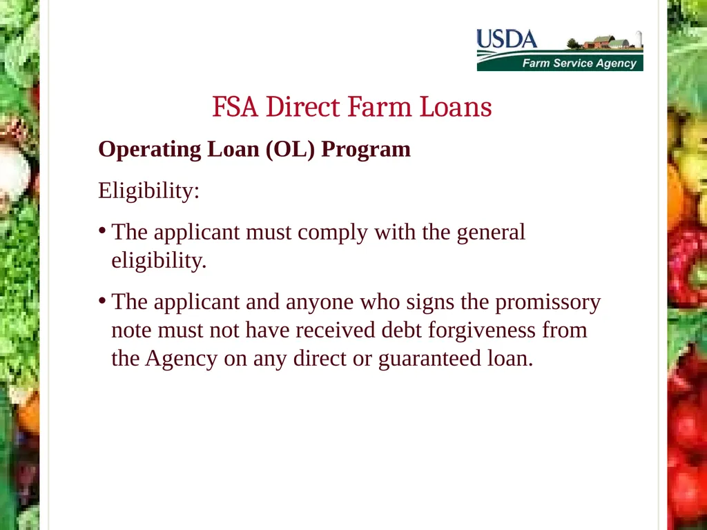 FSA Farm Loan Programs Norman Cummins USDA/FSA - slide 31 of 56